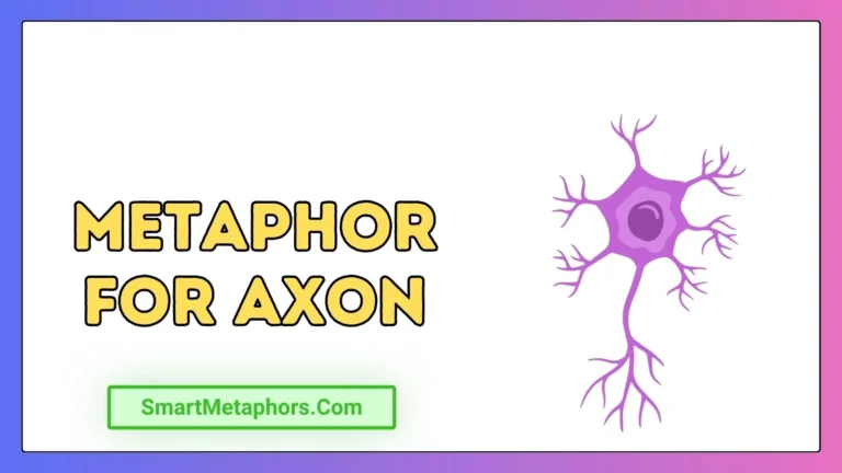 Metaphor for Axon