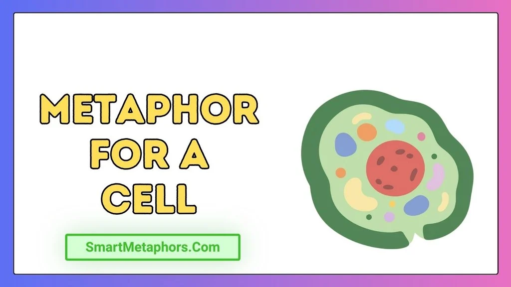 Metaphor for a Cell