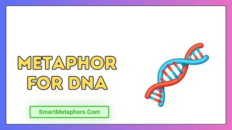 Metaphor for DNA