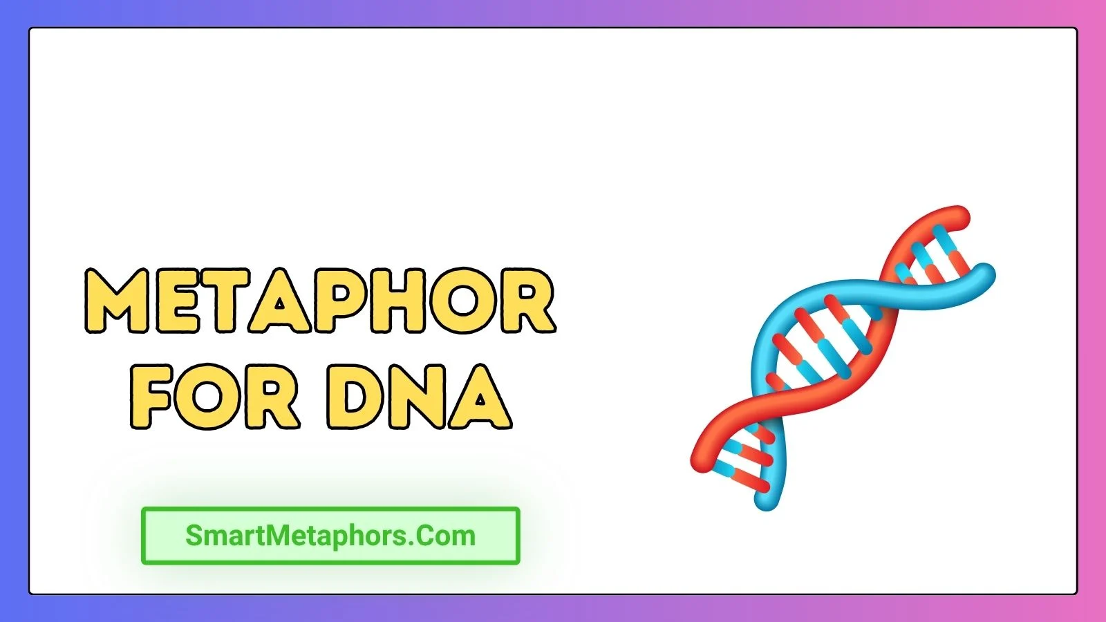 Metaphor for DNA